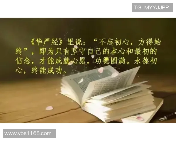 追逐梦想的篮球明星心愿与奋斗历程的感人故事